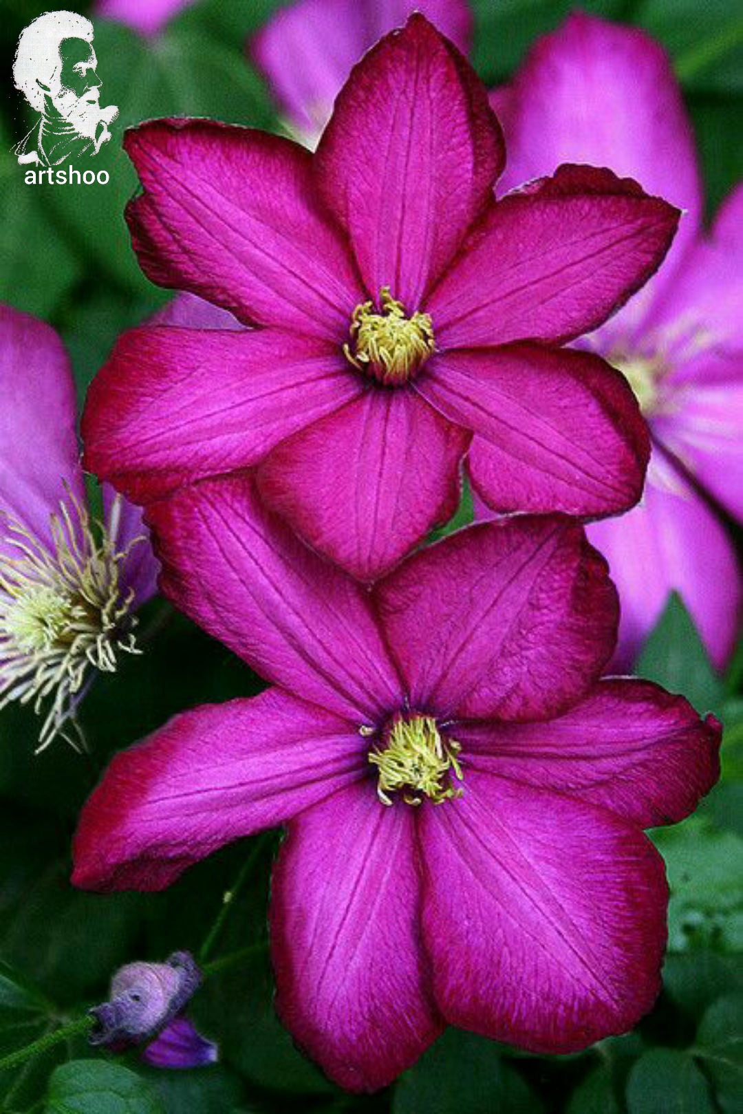 گل اورژینال رنگ روغن